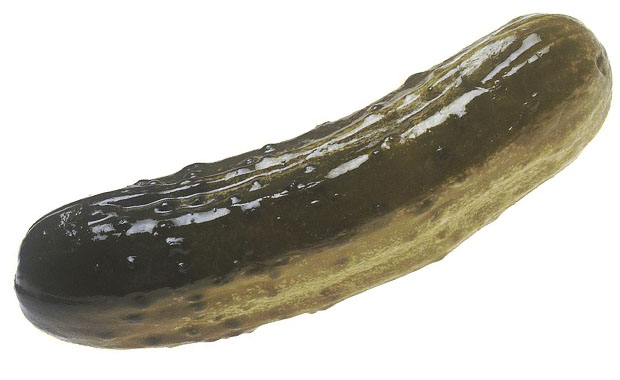 pickle-@